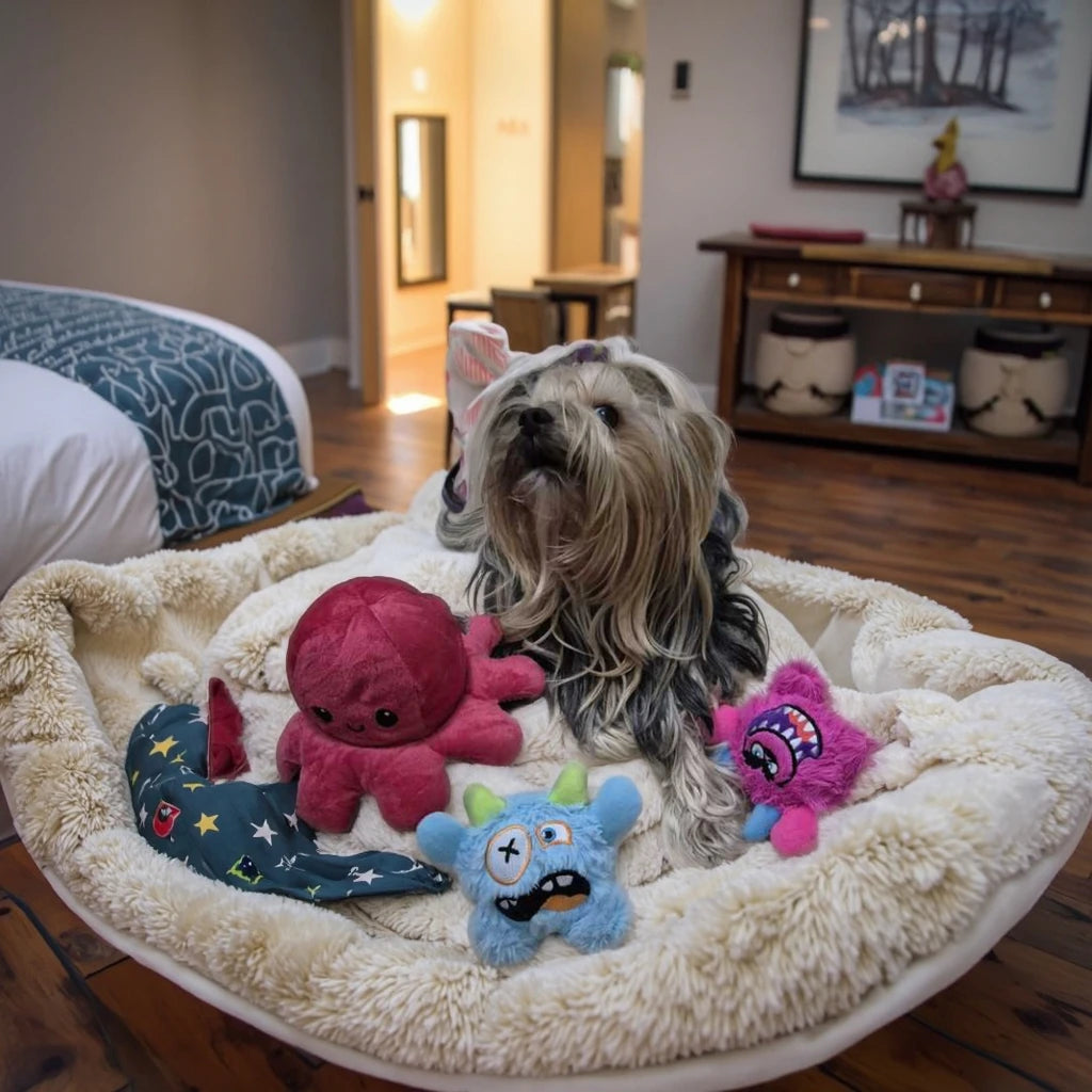 Fun Little Monster Plush Dog Toy