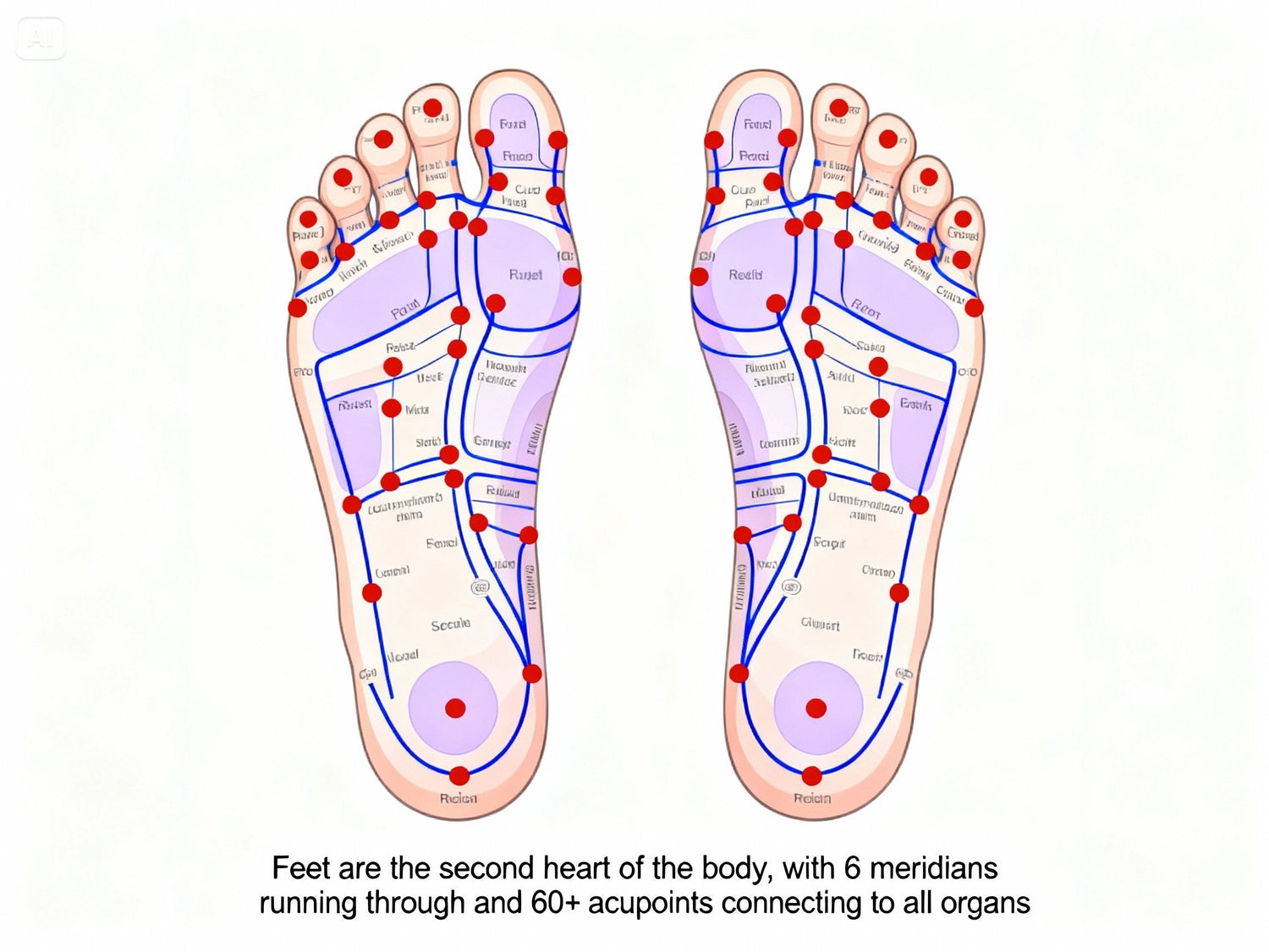 The Origins of Acupuncture: An Ancient Wellness Practice Explained Simply