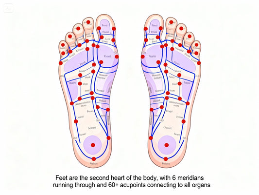 The Origins of Acupuncture: An Ancient Wellness Practice Explained Simply