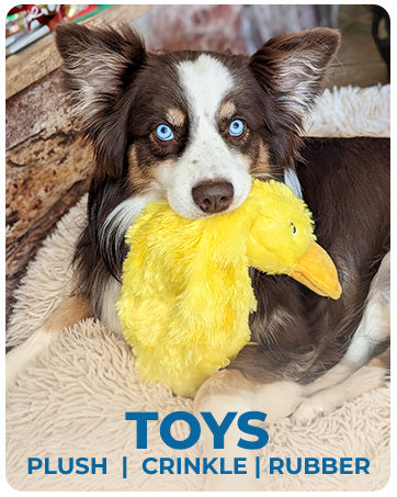 No-stuffing duck chew toy
