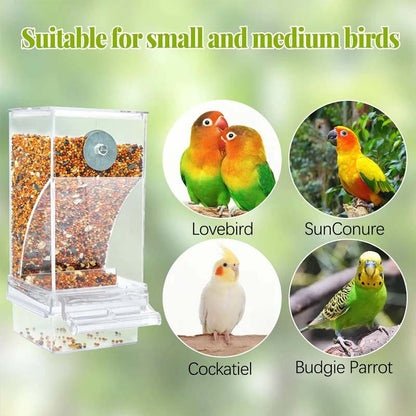 🔥Hot Sale 49% OFF 🐦Automatic No-Spill Transparent Bird Feeder