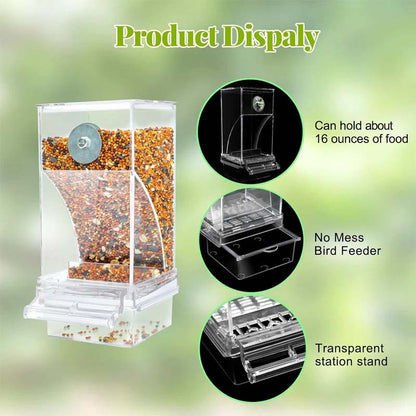 🔥Hot Sale 49% OFF 🐦Automatic No-Spill Transparent Bird Feeder