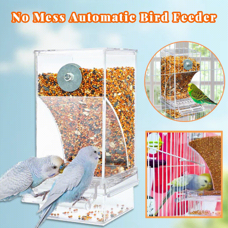 🔥Hot Sale 49% OFF 🐦Automatic No-Spill Transparent Bird Feeder