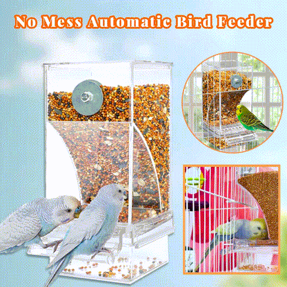 🔥Hot Sale 49% OFF 🐦Automatic No-Spill Transparent Bird Feeder