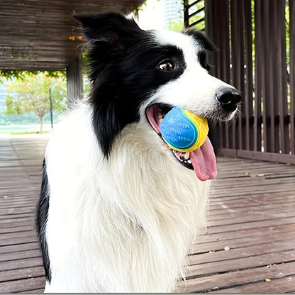 Pet Teething Toy Ball