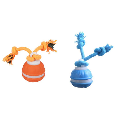 Smart induction USB charging pet interactive rolling ball