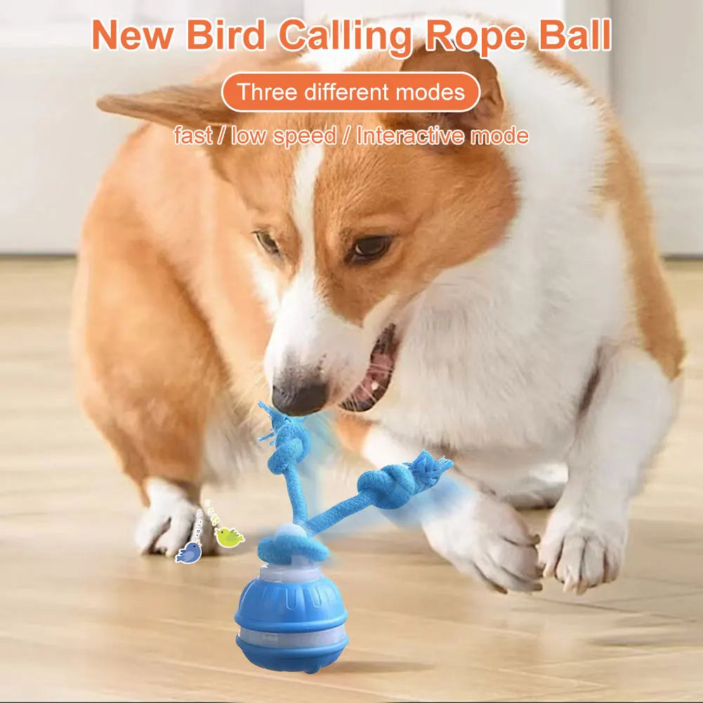 Smart induction USB charging pet interactive rolling ball
