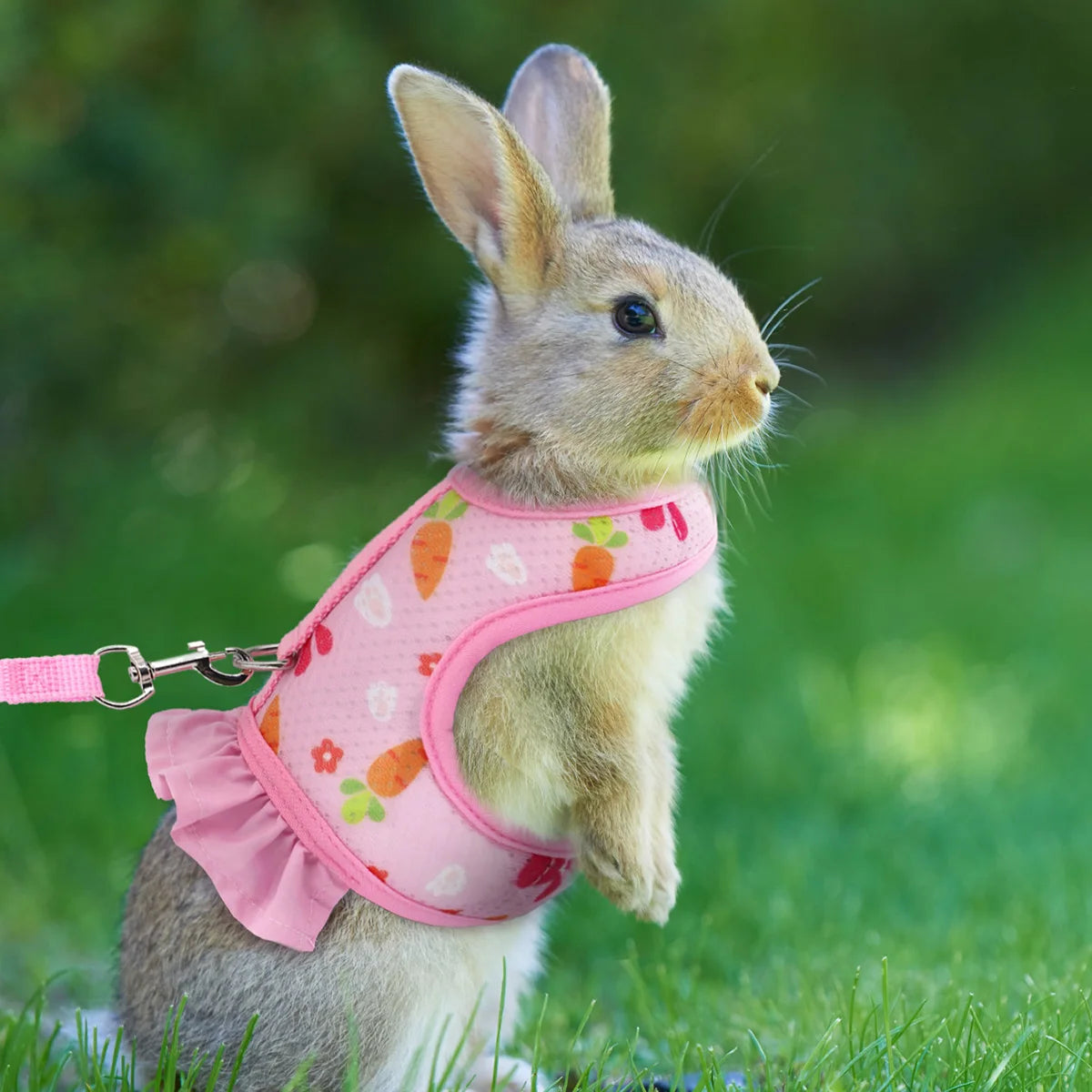 A pet universal rabbit chest strap set with cute radish print outdoor traction rope
