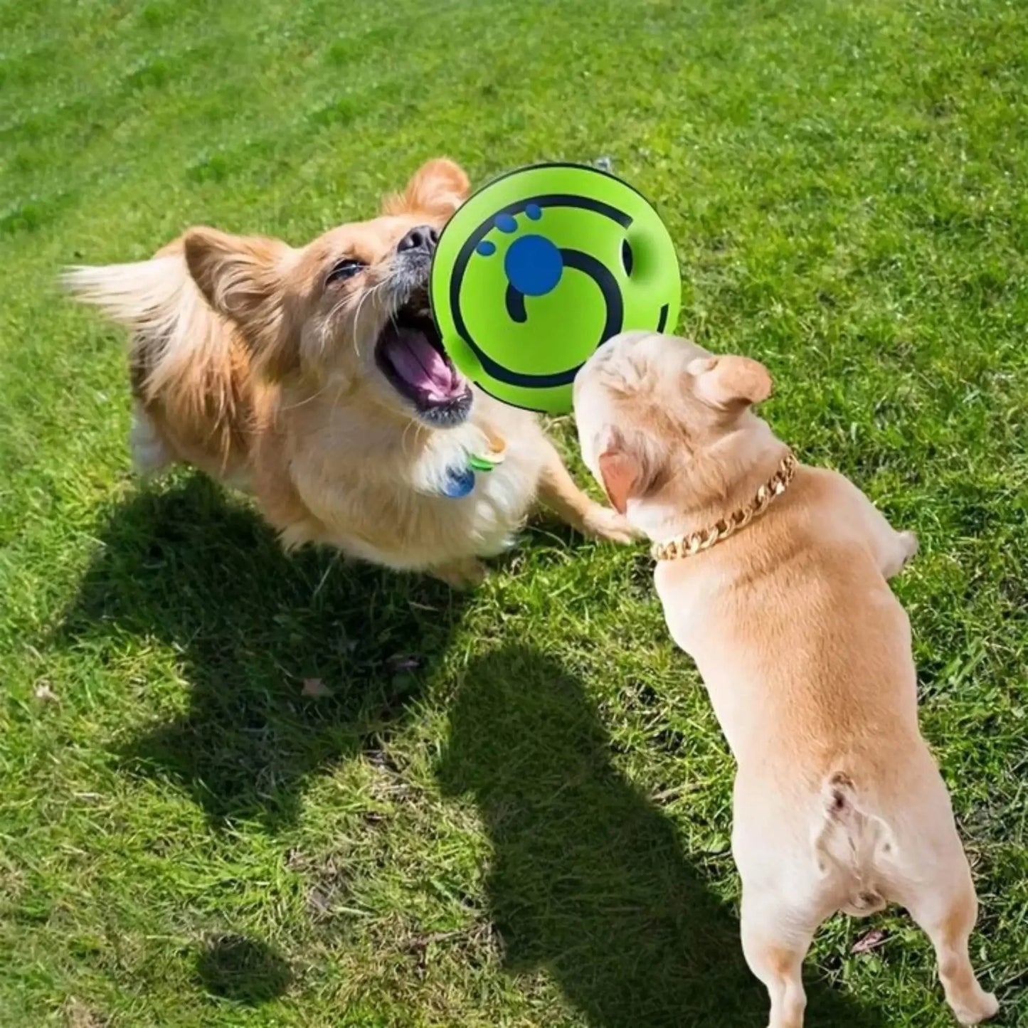 🔥 Giggle Ball – Interactive Wobble Dog Toy with Laughing Sound, Indoor & Outdoor