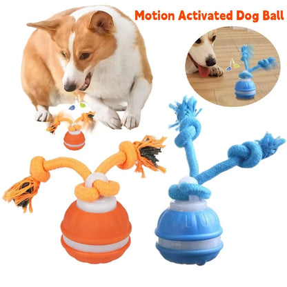 Smart induction USB charging pet interactive rolling ball
