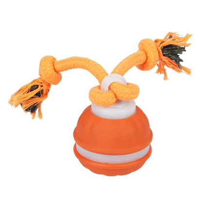 Smart induction USB charging pet interactive rolling ball