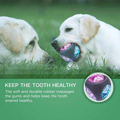 LED light ball dog chew toy