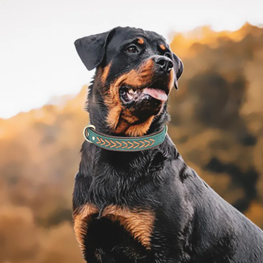 Hand-woven Pet Collars, Small and Medium-sized Leather Dog Collars