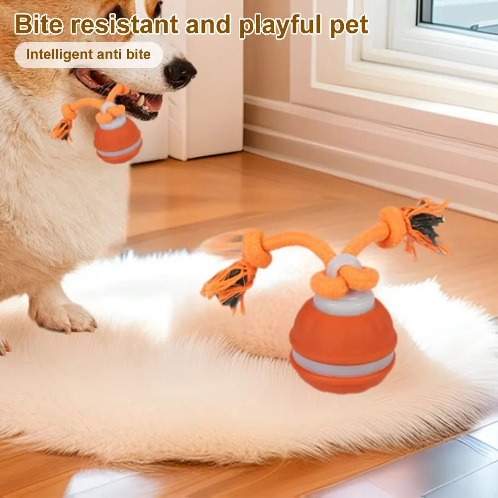 Smart induction USB charging pet interactive rolling ball