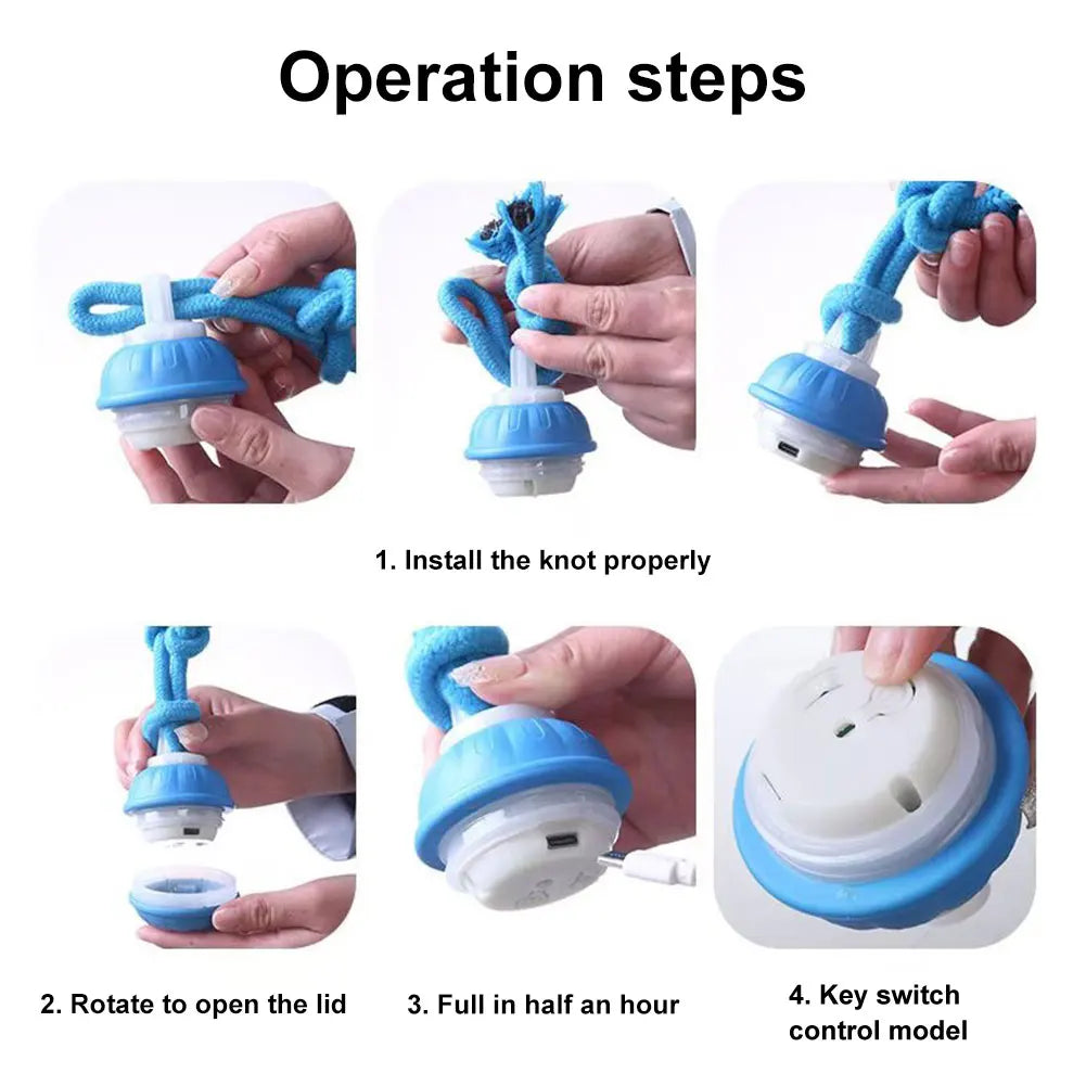 Smart induction USB charging pet interactive rolling ball