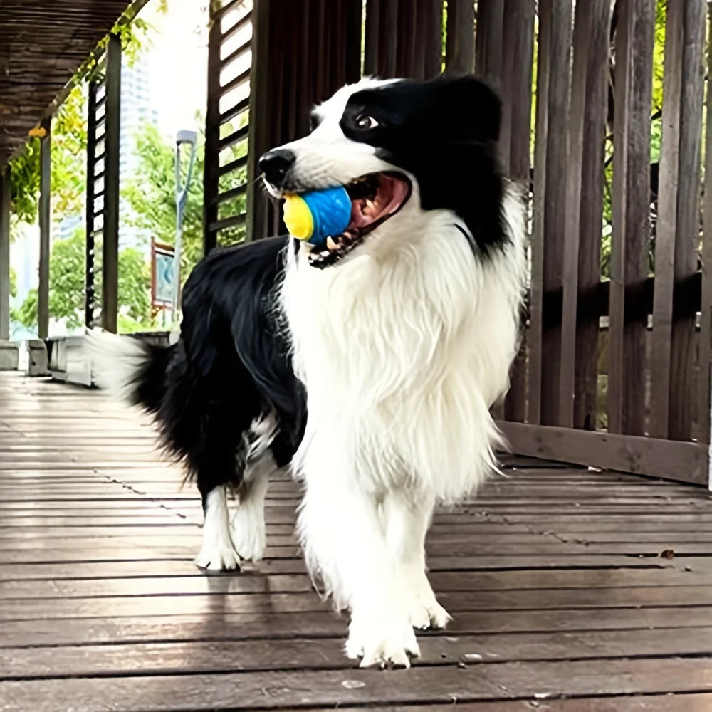 Pet Teething Toy Ball