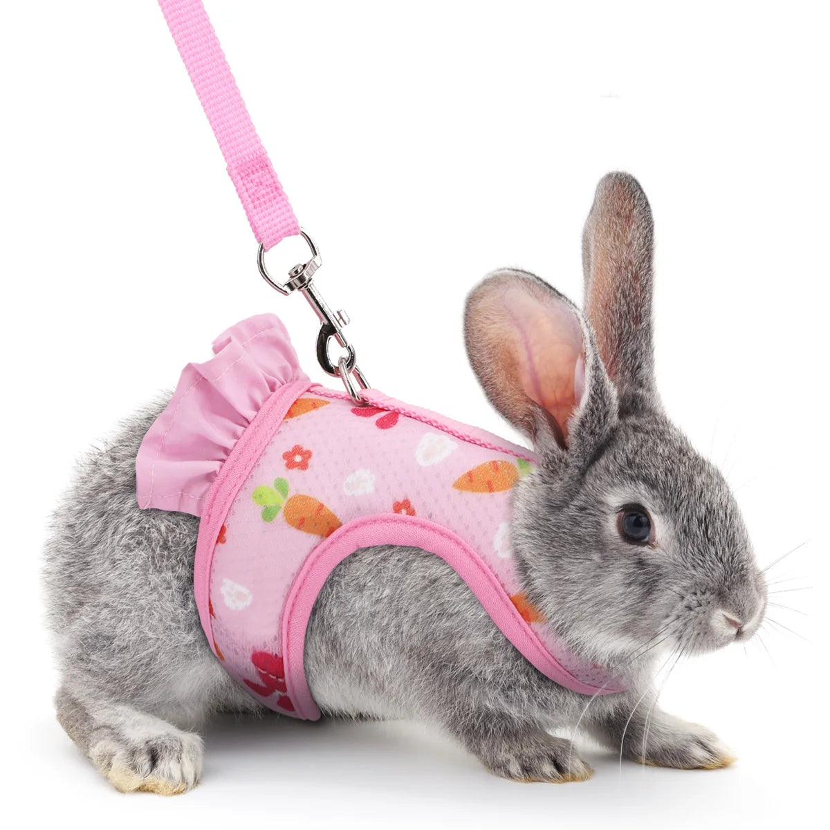 A pet universal rabbit chest strap set with cute radish print outdoor traction rope