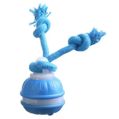 Smart induction USB charging pet interactive rolling ball