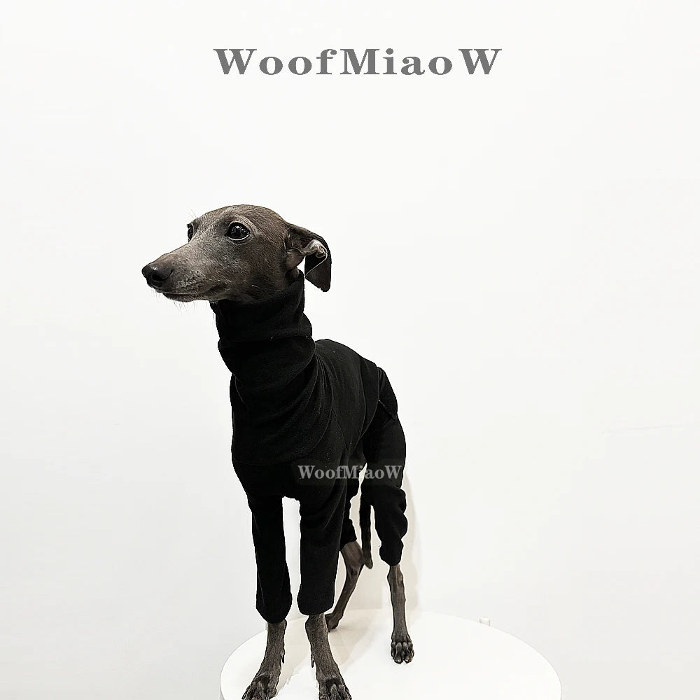 Italian Greyhound Hound Four-Legged Clothes Fashionable Multicolor Soft Comfortable Elastic Pure Color dog clothes