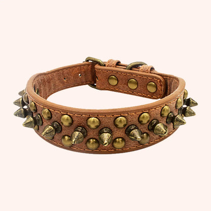 CP037-1--Vintage brass rivet heavy-duty adjustable pet dog collar, round head rivet paired with wear-resistant PU leather.
