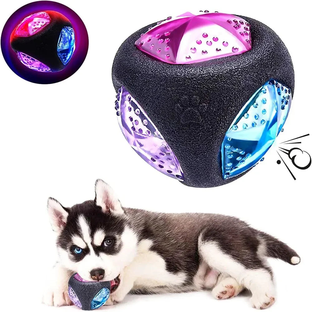 LED light ball dog chew toy