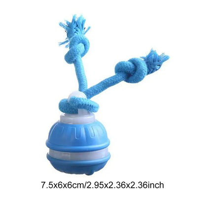 Smart induction USB charging pet interactive rolling ball