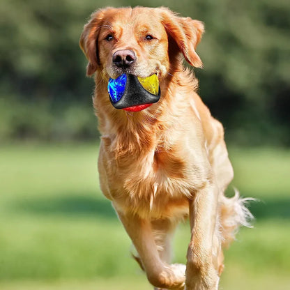 LED light ball dog chew toy