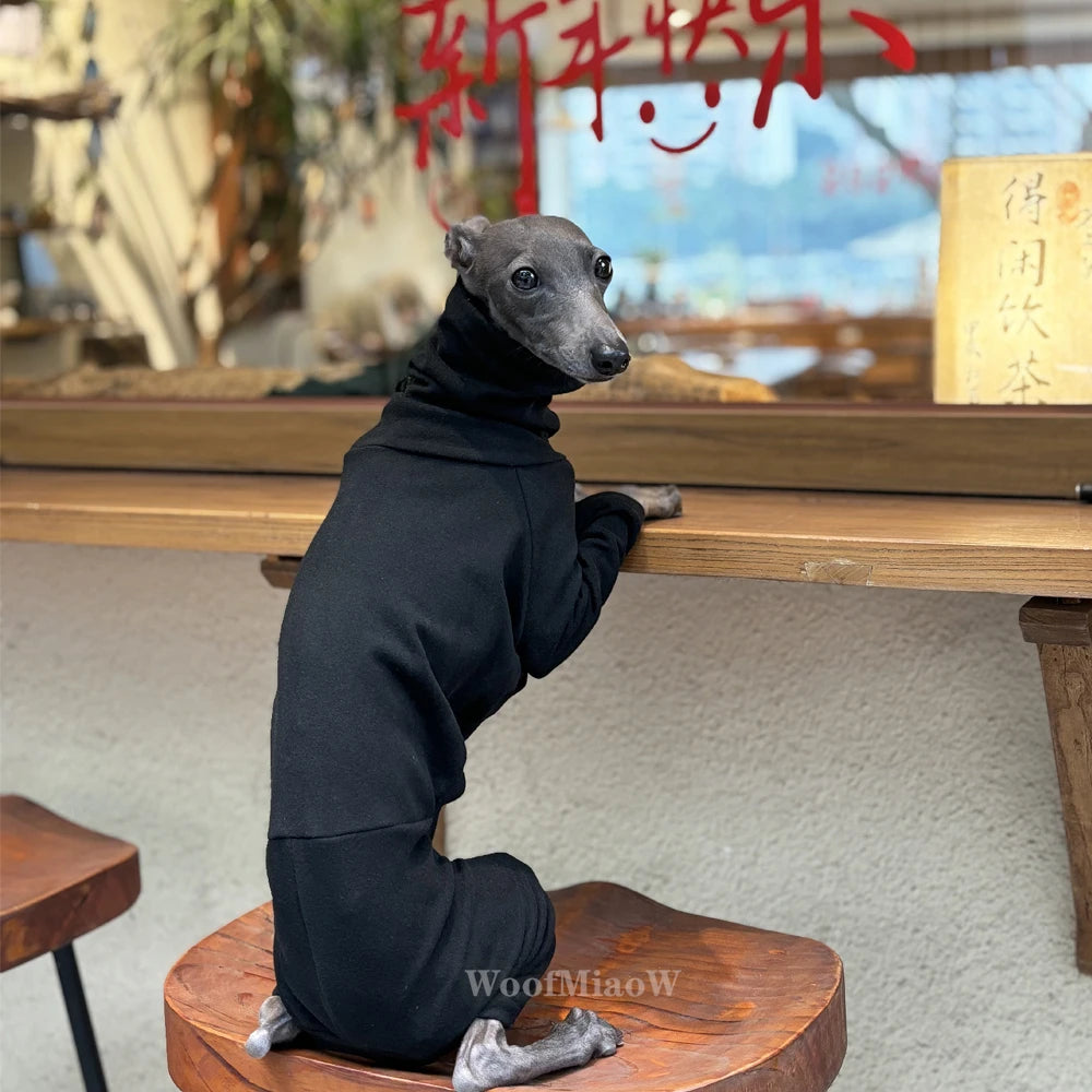 Italian Greyhound Hound Four-Legged Clothes Fashionable Multicolor Soft Comfortable Elastic Pure Color dog clothes