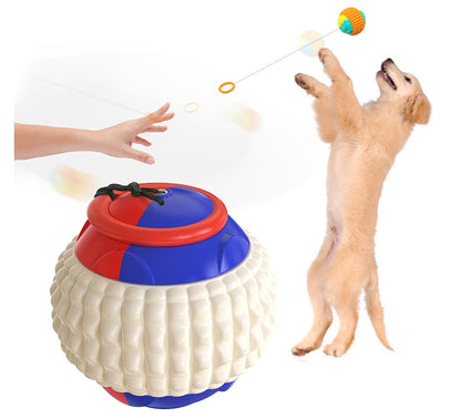 ABS material teeth-resistant dog training ball