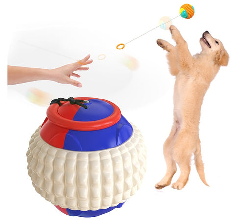ABS material teeth-resistant dog training ball