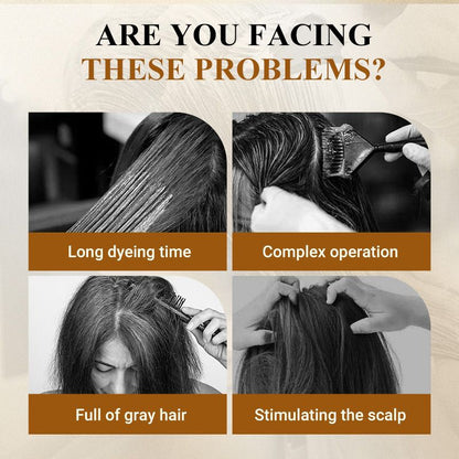 🌿2025 Hot Sale🌸Instant Result Hair Dye Shampoo