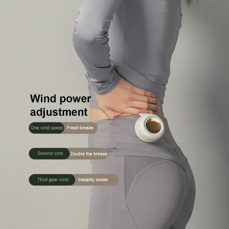 🎁Summer Big Sale-50% OFF⏳Small Whirlwind Clip Waist Neck Fan