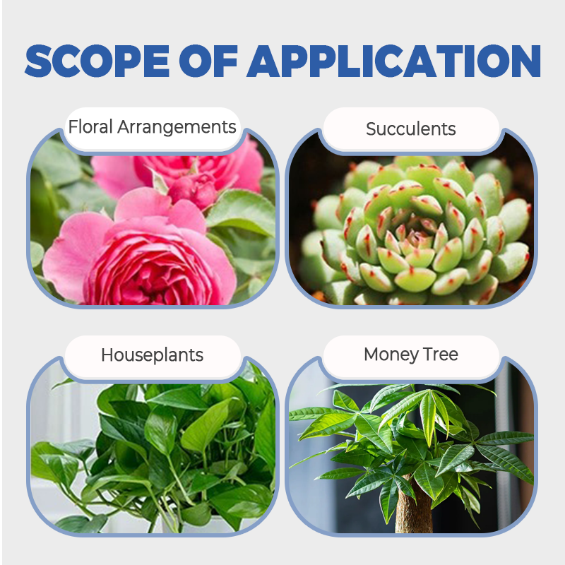 Multi-Plant Liquid Reviver