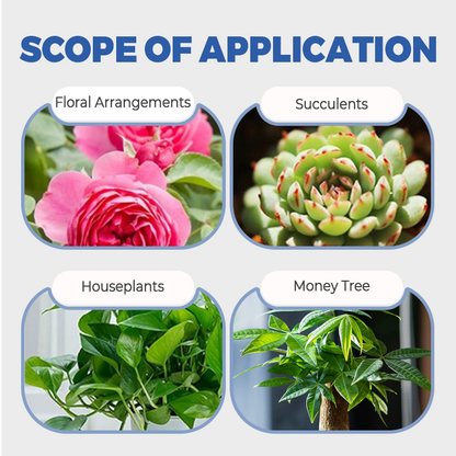 Multi-Plant Liquid Reviver