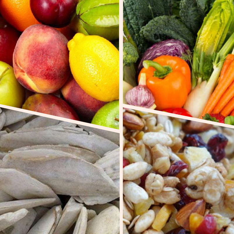 🦜Stainless Steel  Hanging Feeder for Birds