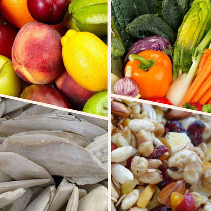 🦜Stainless Steel  Hanging Feeder for Birds